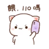 Kucing imut 6