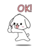 Adorable perrito mov 21