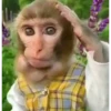 MONKEYYYY 18