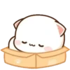 MOCHIS🐈CAT Especial V MOV 24