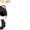 Baby Tuxedo Cat 2 .MOV 24