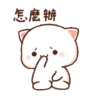 Kucing imut 7