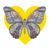 Mariposas en corazón amarillo 1 mov 7