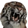 Bellos Animales 7