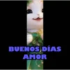 ANIMALITOS MOV. 7