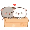 michi mocha cats 6