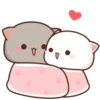 michi mocha cats 7