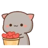 michi mocha cats 8
