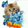 ANIMALITOS MOV. 11