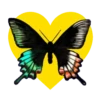 Mariposas en corazón amarillo 1 mov 11