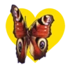 Mariposas en corazón amarillo 1 mov 13
