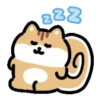 sleepy animal .MOV 8