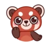 Red Panda mov 5