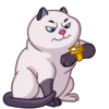 Cats 5