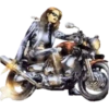 Motociclistas ⛧1 Movi 16