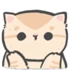 Gatitos mov 9