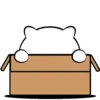 Simple Cat .MOV 11