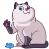 Cats 9