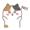 LOVELY cat . mov 8