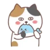 LOVELY cat . mov 9