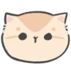 Gatitos mov 12