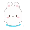 Sweet bunny mov 12