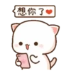 michi mocha cats 16