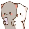 michi mocha cats 17
