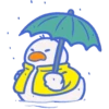 RAINY DAYS & GREETINGS BLANCA AT 11