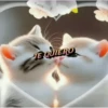 ANIMALITOS MOV. 18