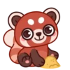 Red Panda mov 10