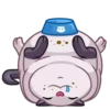 Cats 10
