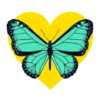 Mariposas en corazón amarillo 1 mov 16