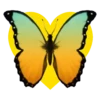 Mariposas en corazón amarillo 1 mov 17