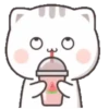 michi mocha cats 20