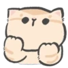 Gatitos mov 16
