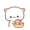 michi mocha cats 22