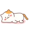 LOVELY cat . mov 15