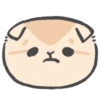 Gatitos mov 19