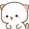 michi mocha cats 23