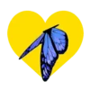 Mariposas en corazón amarillo 1 mov 20