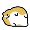 sleepy animal .MOV 18