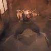 Demon Slayer 1 mov 16