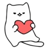Gatito blanco mov 13