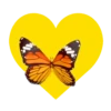 Mariposas en corazón amarillo 1 mov 21