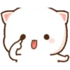 michi mocha cats 25