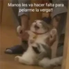 shitpost chanero 25