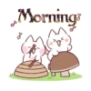 Morning/night 7