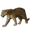 Bellos Animales 25