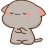 michi mocha cats 26